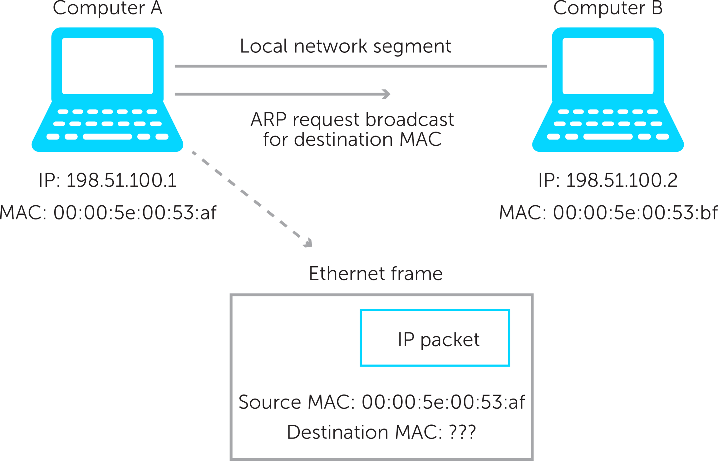 Сетевая карта (NIC)