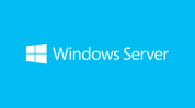 ПО Microsoft Windows Server 2022 P46216-B21