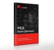РЕД СОФТ СУБД Ред База Данных, Сертификат на техническую поддержку (стандартная редакция на 1 ядро, на 1 год), Стандартный уровень