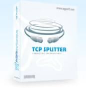 AGG Software TCP Splitter (лицензии), версия Professional Pro 200