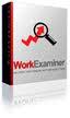 Work Examiner Standard