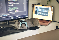 IPv6+ с цензурой: Китай активно внедряет и дорабатывает сетевые протоколы