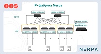 Nerpa разработала новую IP-фабрику для ЦОД и облаков