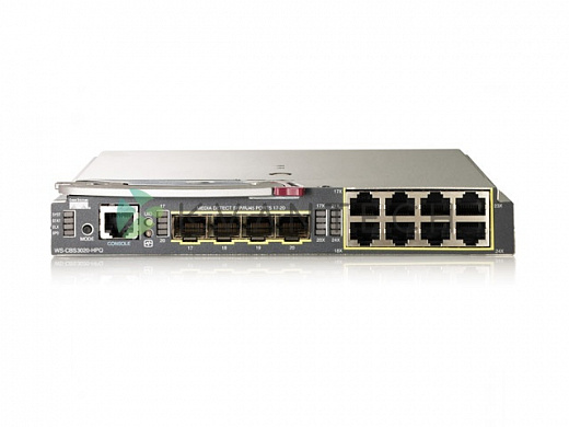 Блейд-коммутаторы Cisco Catalyst Blade Switch 3000 Series WS-CBS3110G-S