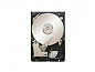 Жесткий диск HP ST31000524NS