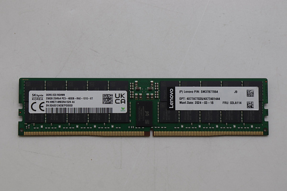 Оперативная память Hynix 256GB TruDDR5 4800MHz (2S4Rx4) 3DS RDIMM (03LA114)