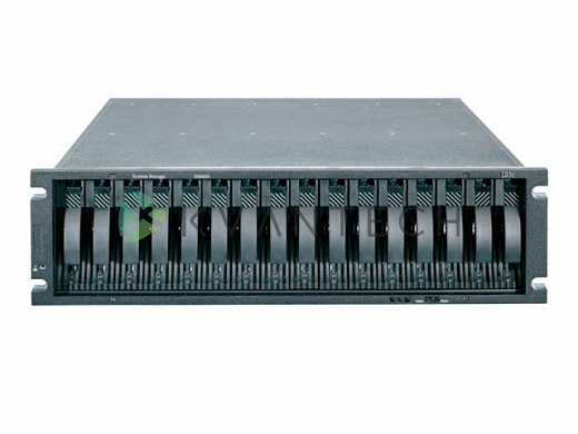 IBM System Storage DS3950 181494H
