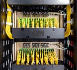 Квартальные продажи Ethernet-коммутаторов взлетели на 40 %, а NVIDIA выбилась в лидеры в ЦОД-сегменте