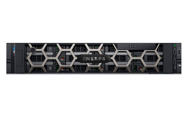 Сервер Nerpa DE LR 55