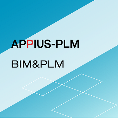 APPIUS Техническая поддержка, Корп на 1 год