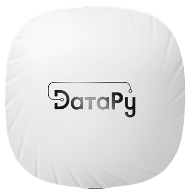 Внутренняя точка доступа ДатаРу DR-AP-110T-E