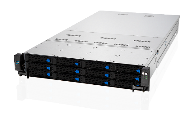 Сервер Nerpa Nord D5025